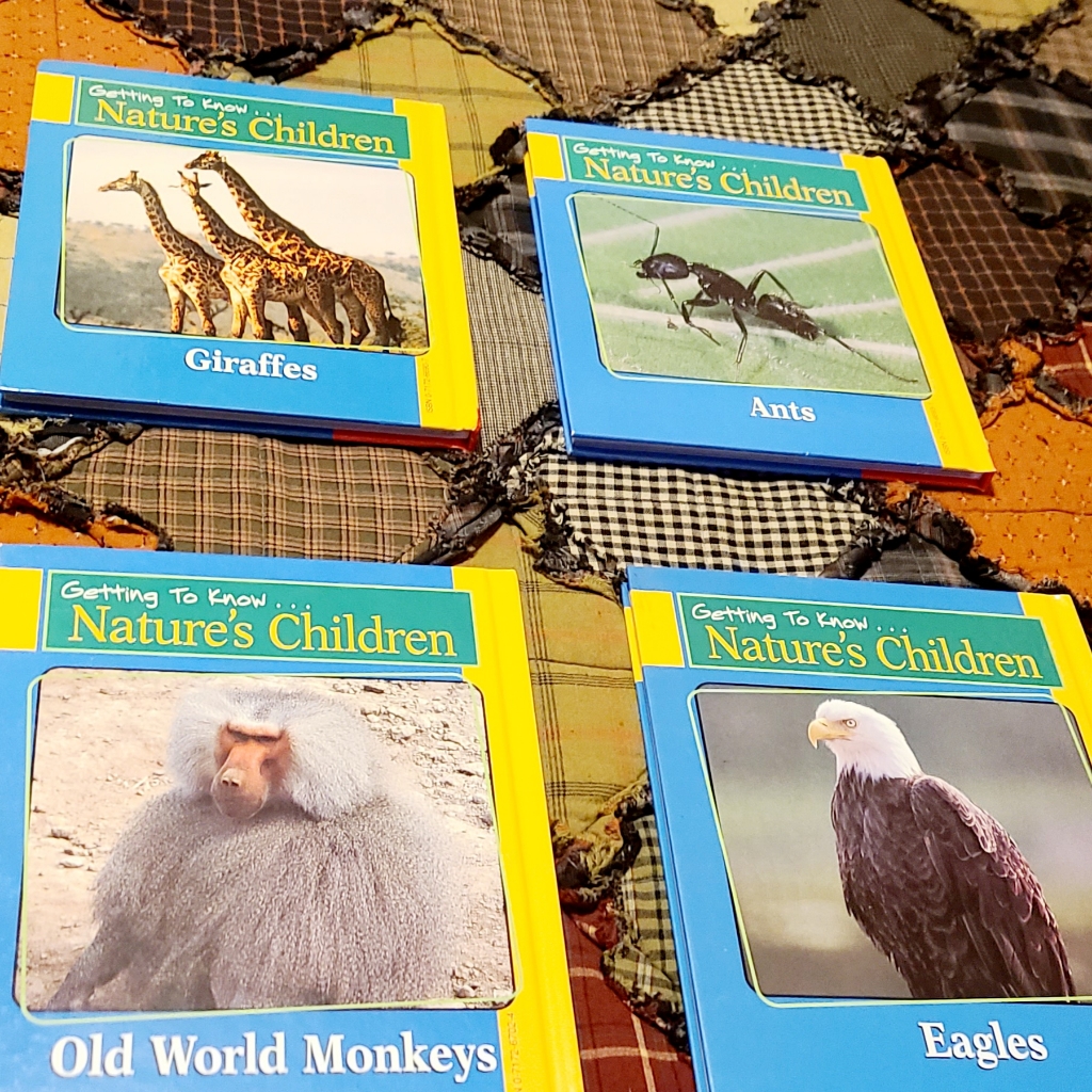 Brand New Kids Learning Books